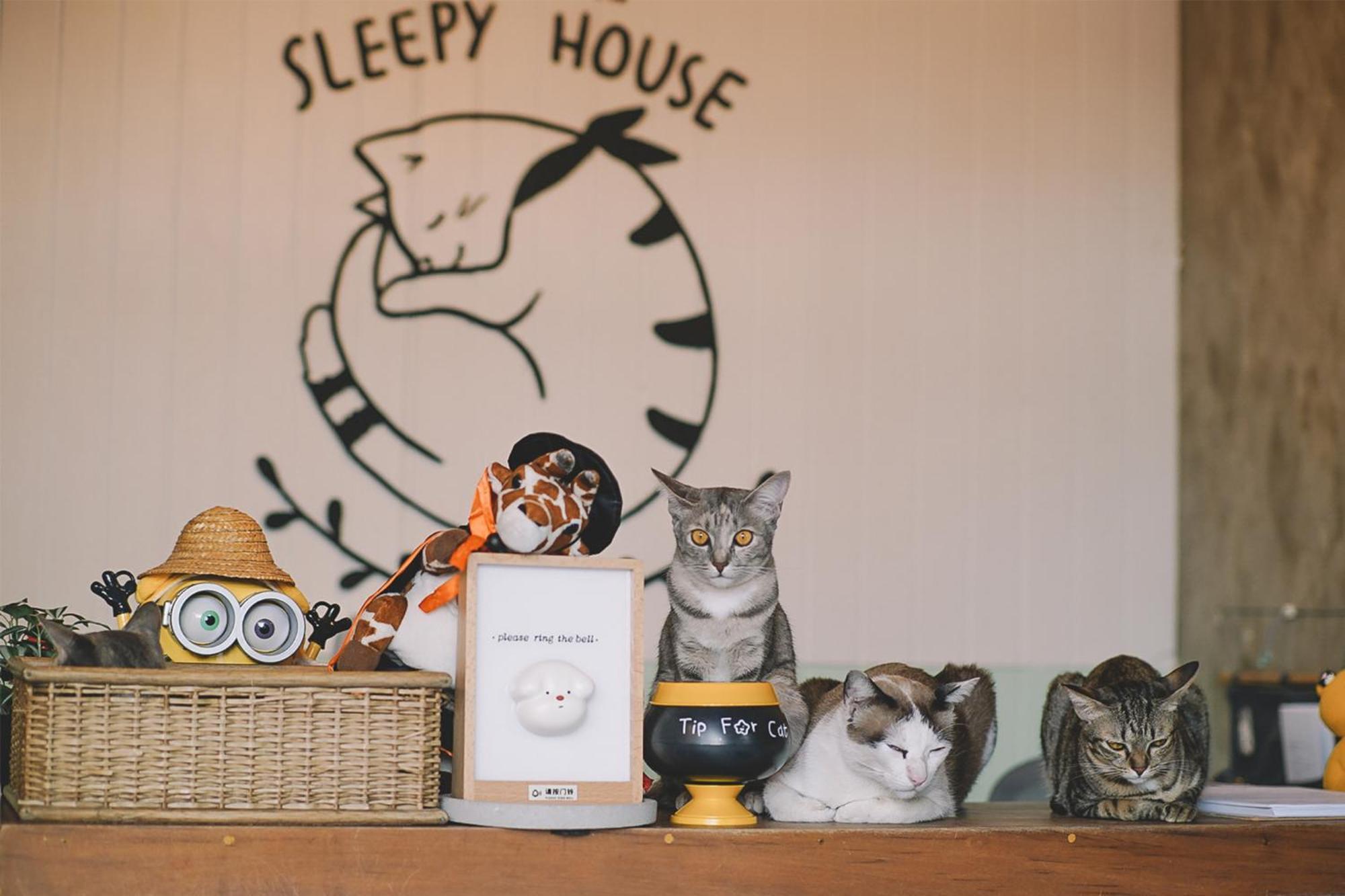Sleepy House Chiang Rai Bed & Breakfast Eksteriør bilde