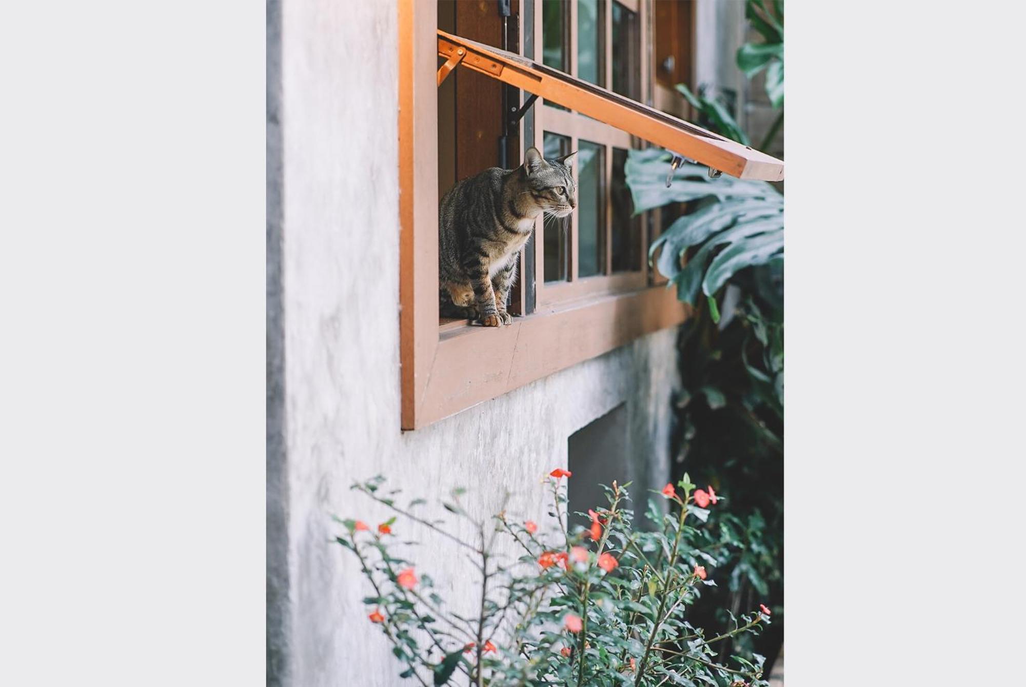Sleepy House Chiang Rai Bed & Breakfast Eksteriør bilde