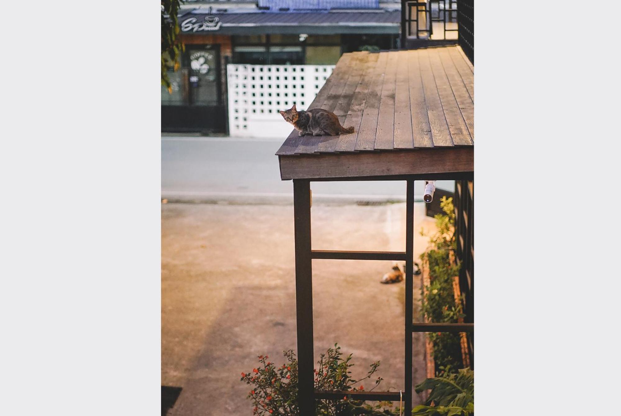 Sleepy House Chiang Rai Bed & Breakfast Eksteriør bilde